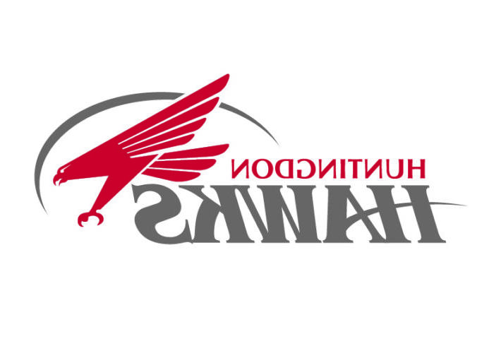 老鹰队的logo